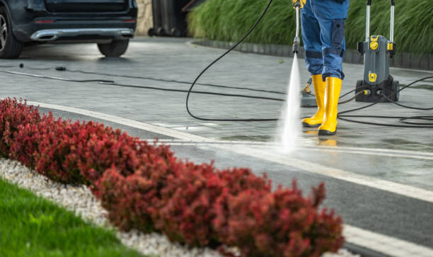 Best Driveway Pressure Washing  in Burlington, WA